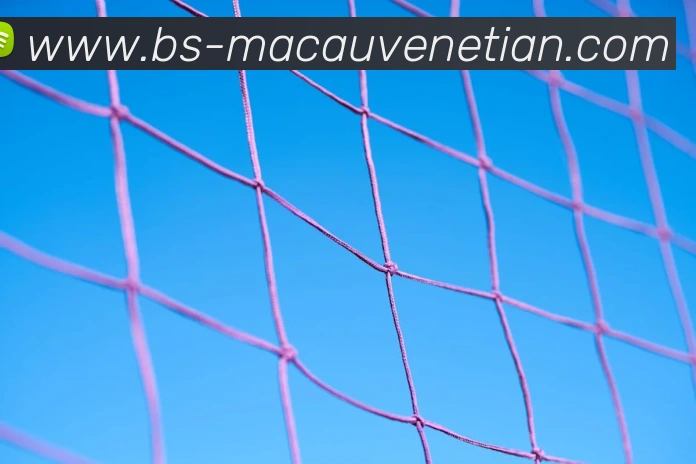 威尼斯人官网平台生态图